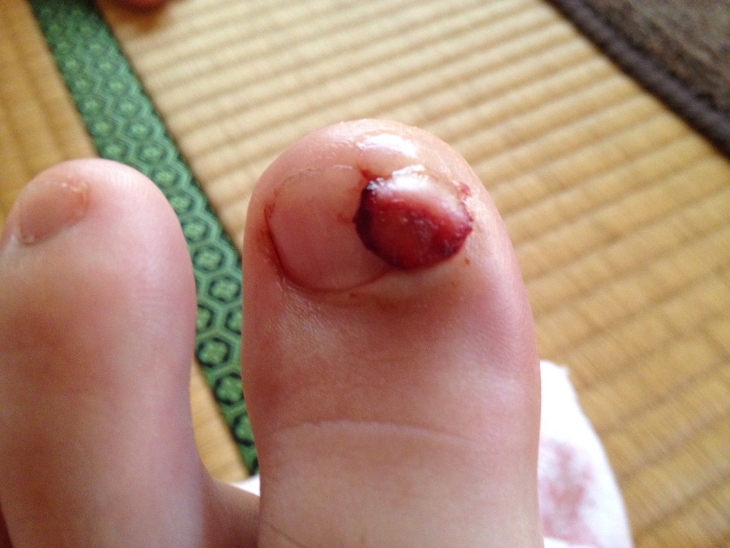 f:id:sakune_minase:20150815174508j:image f:id:sakune_minase:20150815174508j:image