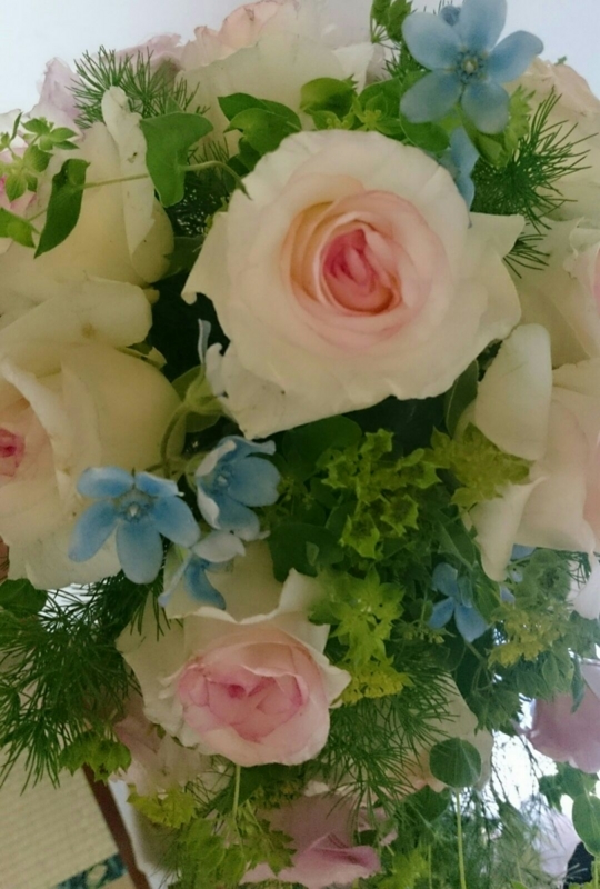 f:id:sakura-kirishima:20150818222727j:plain f:id:sakura-kirishima:20150818222727j:plain