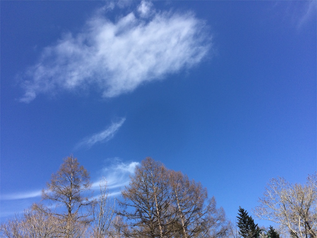 f:id:sakura0158:20160505081954j:image f:id:sakura0158:20160505081954j:image