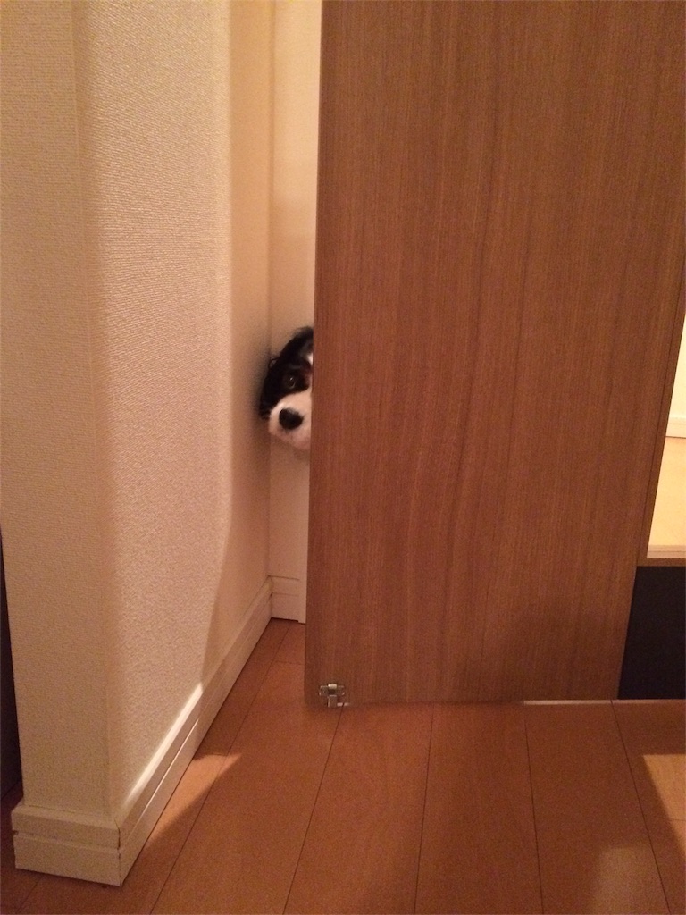 f:id:sakura0158:20160604191508j:image f:id:sakura0158:20160604191508j:image