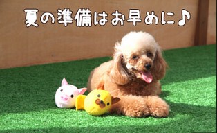 20130522165336