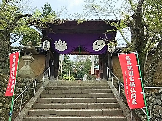 f:id:sakuraeipon:20150422163511j:image f:id:sakuraeipon:20150422163511j:image