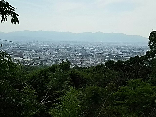 f:id:sakuraeipon:20150603154142j:image f:id:sakuraeipon:20150603154142j:image