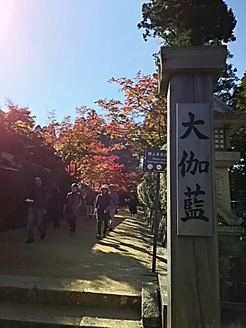 f:id:sakuraeipon:20151027130213j:image f:id:sakuraeipon:20151027130213j:image