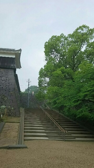 f:id:sakuraeipon:20160624210607j:image f:id:sakuraeipon:20160624210607j:image