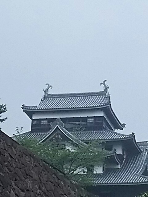 f:id:sakuraeipon:20160624211158j:image f:id:sakuraeipon:20160624211158j:image