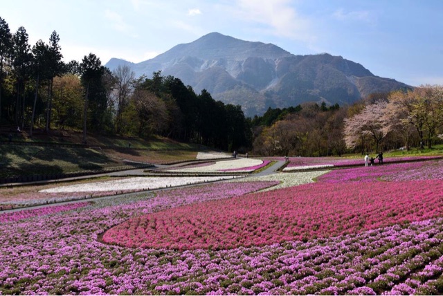 f:id:sakuraginaoto:20150413211402j:plain f:id:sakuraginaoto:20150413211402j:plain
