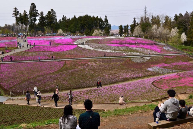 f:id:sakuraginaoto:20150413211415j:plain f:id:sakuraginaoto:20150413211415j:plain