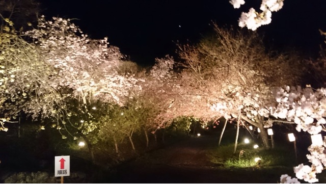 f:id:sakuraginaoto:20150418001417j:plain f:id:sakuraginaoto:20150418001417j:plain