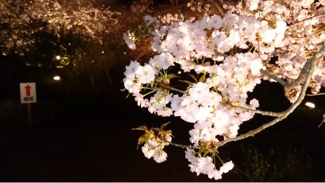 f:id:sakuraginaoto:20150418001427j:plain f:id:sakuraginaoto:20150418001427j:plain