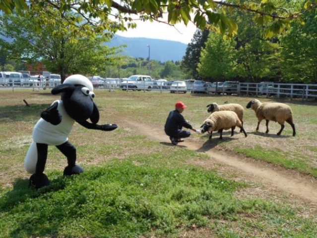 f:id:sakuraginaoto:20150506194457j:image f:id:sakuraginaoto:20150506194457j:image