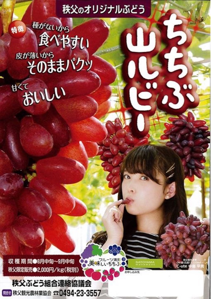 f:id:sakuraginaoto:20150827234137j:image f:id:sakuraginaoto:20150827234137j:image