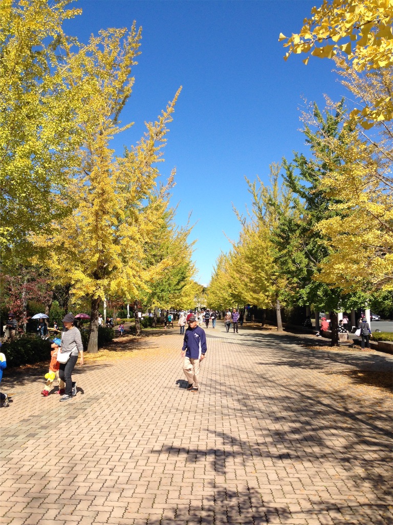 f:id:sakuraginaoto:20151019214909j:image f:id:sakuraginaoto:20151019214909j:image