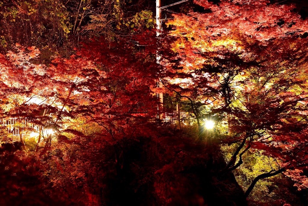 f:id:sakuraginaoto:20151109223437j:image f:id:sakuraginaoto:20151109223437j:image