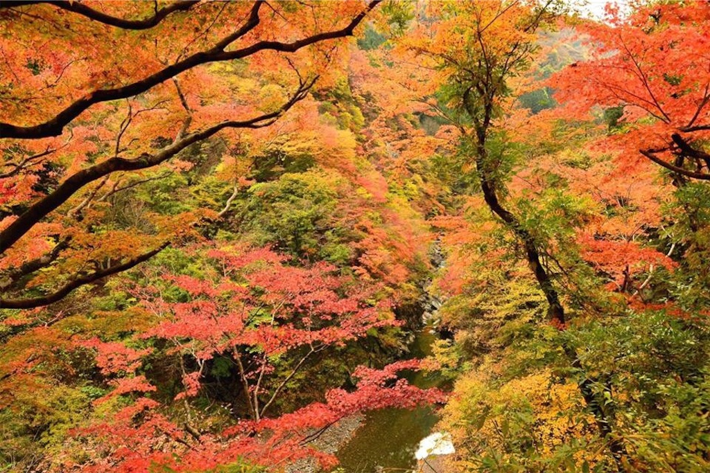 f:id:sakuraginaoto:20151109223740j:image f:id:sakuraginaoto:20151109223740j:image