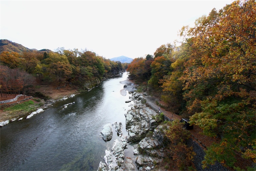 f:id:sakuraginaoto:20151117204405j:image f:id:sakuraginaoto:20151117204405j:image