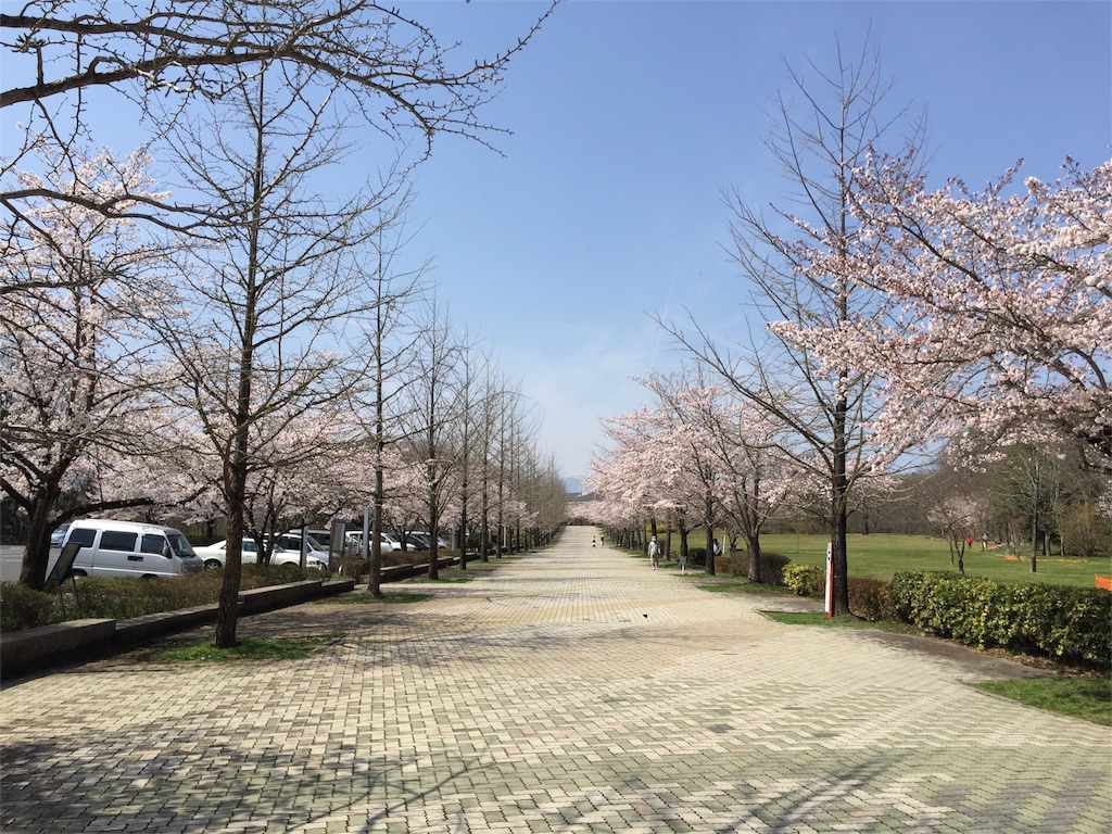 f:id:sakuraginaoto:20160406112033j:image f:id:sakuraginaoto:20160406112033j:image