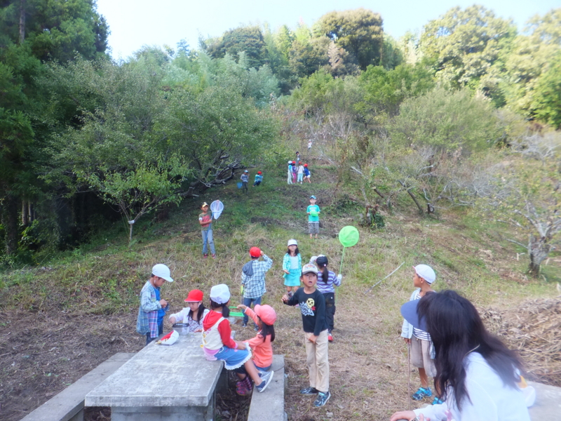 f:id:sakuranoshou:20131001114822j:plain f:id:sakuranoshou:20131001114822j:plain