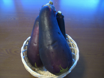 f:id:sakurasaryou:20100928174229j:image f:id:sakurasaryou:20100928174229j:image