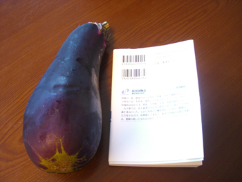 f:id:sakurasaryou:20100928174656j:image f:id:sakurasaryou:20100928174656j:image
