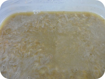 f:id:sakurasaryou:20111115132933j:image f:id:sakurasaryou:20111115132933j:image