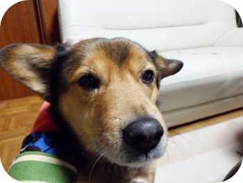 f:id:sakurasaryou:20120204183918j:image f:id:sakurasaryou:20120204183918j:image