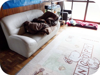 f:id:sakurasaryou:20120223170701j:image f:id:sakurasaryou:20120223170701j:image