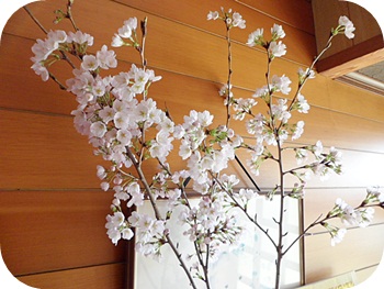 f:id:sakurasaryou:20120410204901j:image f:id:sakurasaryou:20120410204901j:image