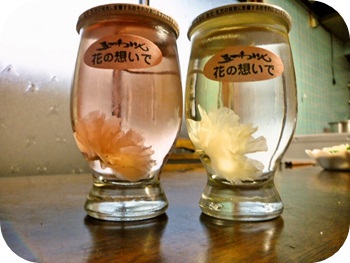 f:id:sakurasaryou:20120414212218j:image f:id:sakurasaryou:20120414212218j:image