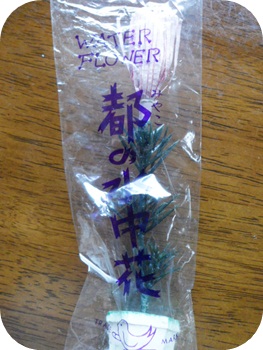 f:id:sakurasaryou:20120905221758j:image f:id:sakurasaryou:20120905221758j:image