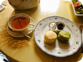 f:id:sakurasaryou:20121012181825j:image f:id:sakurasaryou:20121012181825j:image