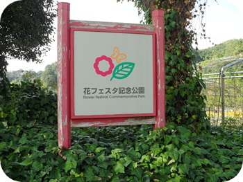f:id:sakurasaryou:20121028222508j:image f:id:sakurasaryou:20121028222508j:image