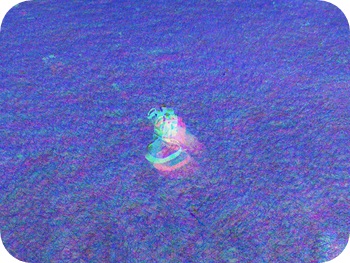 f:id:sakurasaryou:20121029211030j:image f:id:sakurasaryou:20121029211030j:image