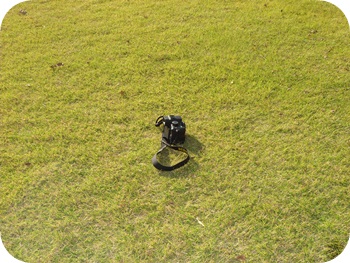 f:id:sakurasaryou:20121029211031j:image f:id:sakurasaryou:20121029211031j:image