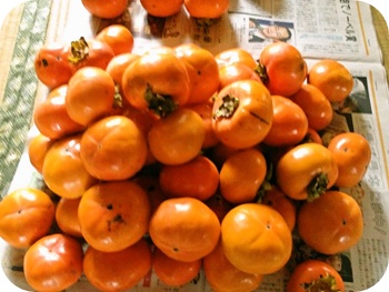 f:id:sakurasaryou:20121114133946j:image f:id:sakurasaryou:20121114133946j:image