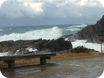 f:id:sakurasaryou:20121214213626j:image f:id:sakurasaryou:20121214213626j:image