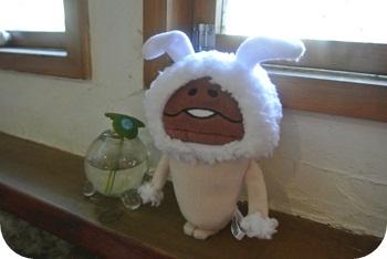 f:id:sakurasaryou:20121227214308j:image f:id:sakurasaryou:20121227214308j:image