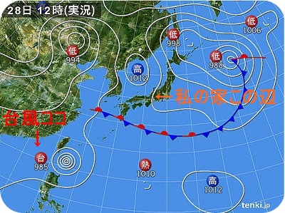 f:id:sakurasaryou:20130828173641j:image f:id:sakurasaryou:20130828173641j:image
