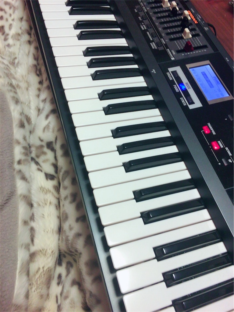 f:id:sala_uduki:20160131185251j:image f:id:sala_uduki:20160131185251j:image