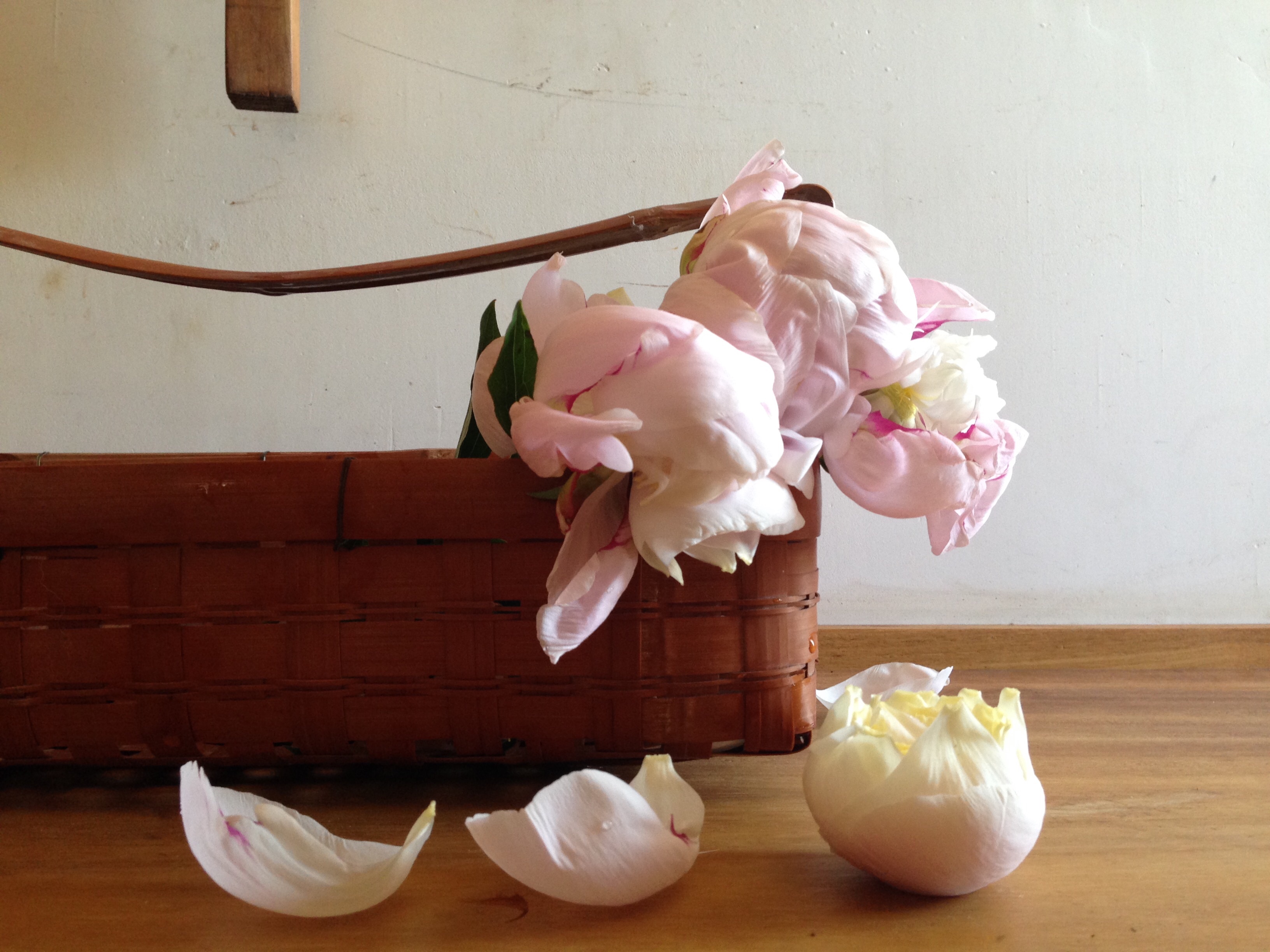 f:id:sallygarden:20160517231829j:image f:id:sallygarden:20160517231829j:image