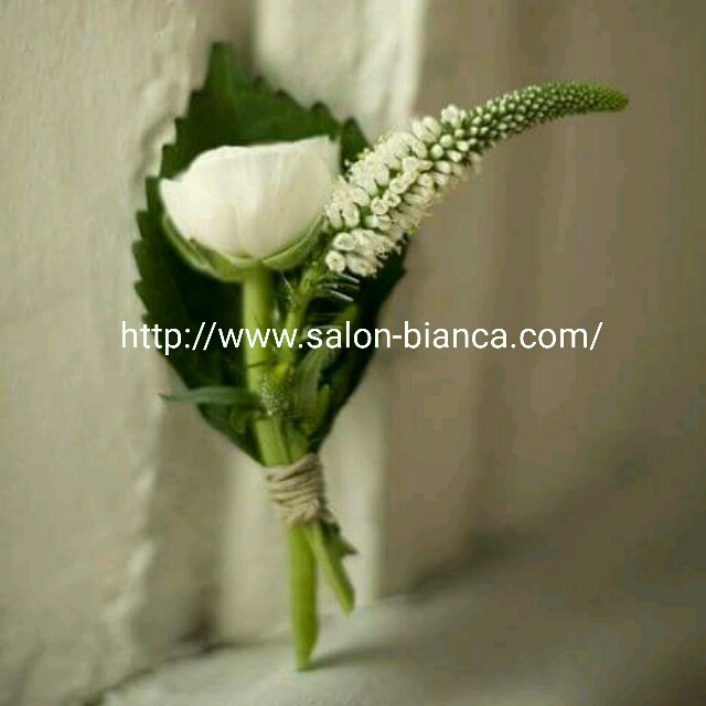 f:id:salon_bianca:20160303134802j:image f:id:salon_bianca:20160303134802j:image