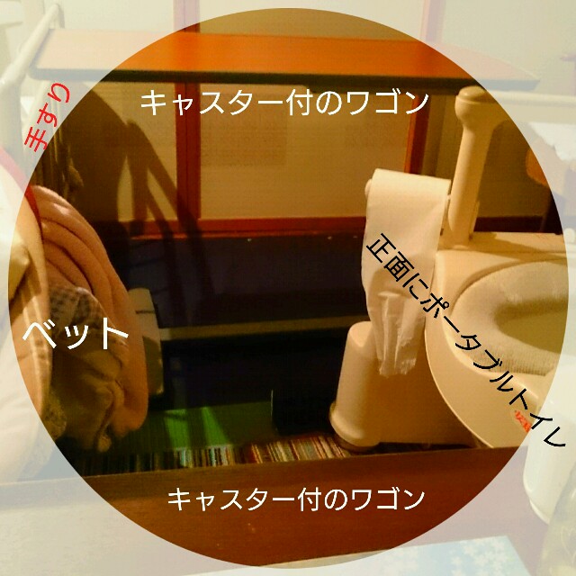 f:id:salon_bianca:20160311213413j:image f:id:salon_bianca:20160311213413j:image