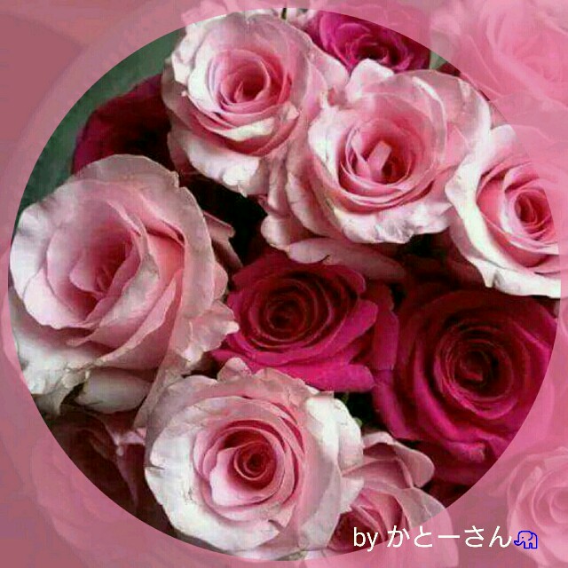 f:id:salon_bianca:20160314234208j:image f:id:salon_bianca:20160314234208j:image
