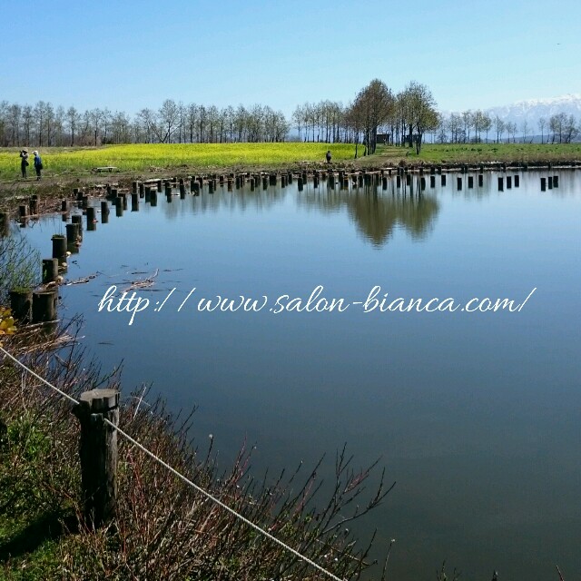 f:id:salon_bianca:20160405204828j:image f:id:salon_bianca:20160405204828j:image