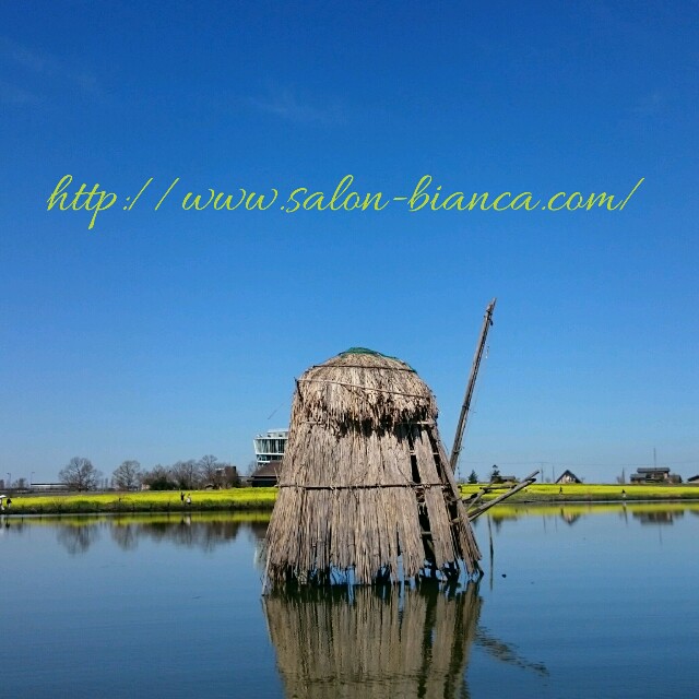 f:id:salon_bianca:20160405205952j:image f:id:salon_bianca:20160405205952j:image