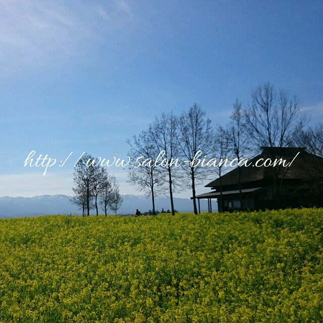 f:id:salon_bianca:20160405210027j:image f:id:salon_bianca:20160405210027j:image