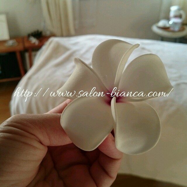 f:id:salon_bianca:20160407235436j:image f:id:salon_bianca:20160407235436j:image