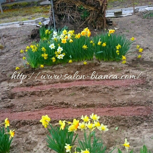 f:id:salon_bianca:20160408194521j:image f:id:salon_bianca:20160408194521j:image