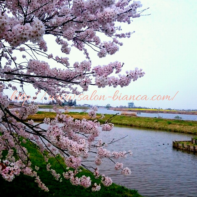 f:id:salon_bianca:20160410201513j:image f:id:salon_bianca:20160410201513j:image