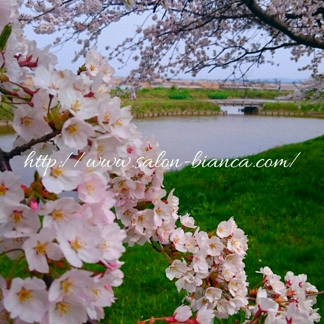 f:id:salon_bianca:20160410201526j:image f:id:salon_bianca:20160410201526j:image